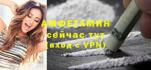 ГАЛЛЮЦИНОГЕННЫЕ ГРИБЫ Вязники