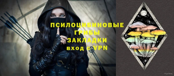 ГАЛЛЮЦИНОГЕННЫЕ ГРИБЫ Вязники