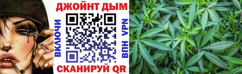 Бошки Шишки ГИДРОПОН  Кочубеевское 